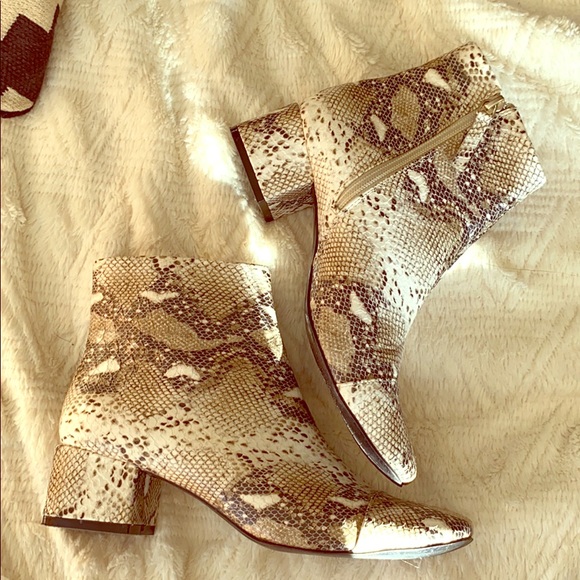 Zara Shoes - Zara snake skin booties